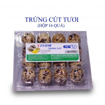 Trứng Cút Tươi VFARM (Hộp 16)