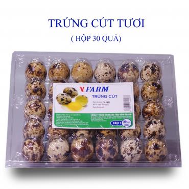 Trứng Cút Tươi VFARM (Hộp 30)
