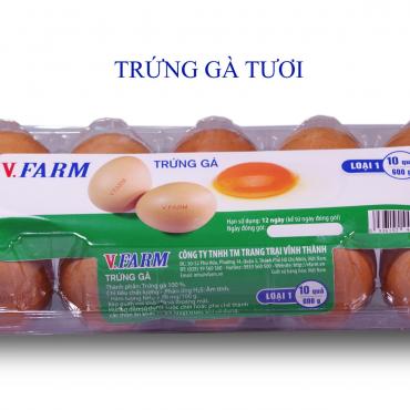 Trứng Gà VFARM (Hộp 10)