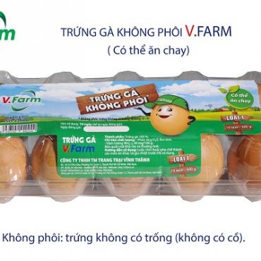 Trứng Gà Không Phôi V.FARM ( HỘP 10 )